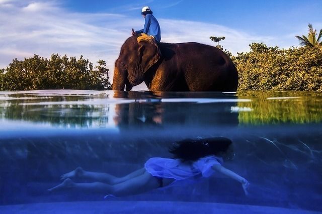 JUSTIN MOTT, Cultural Bliss, A model swims underwater past an elephant and a mahout at a private home in Phuket, Thailand, 2011