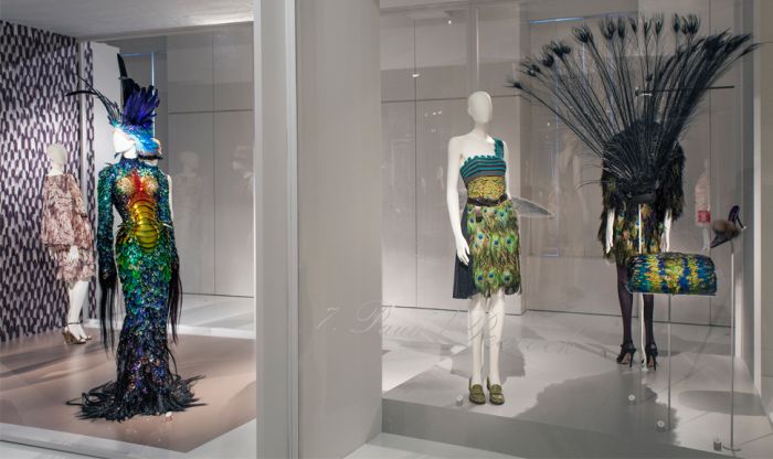 Installation view of "Birds of Paradise - Plumes & Feathers in Fashion" at MoMu - Fashion Museum Antwerp