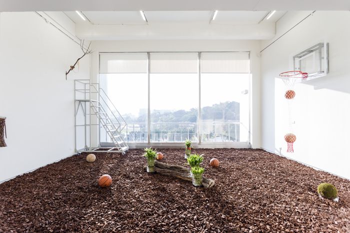 Jr-Shin Luo Terrarium: “Ong Lai,” “Bird’s Nests,” “Moss Balls”, 2014 photo Taipei Bienniale