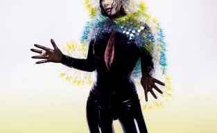 Björk, Vulnicura, 2015Copyright © 2015 Inez and Vinoodh. Image courtesy of Wellhart/One Little Indian
